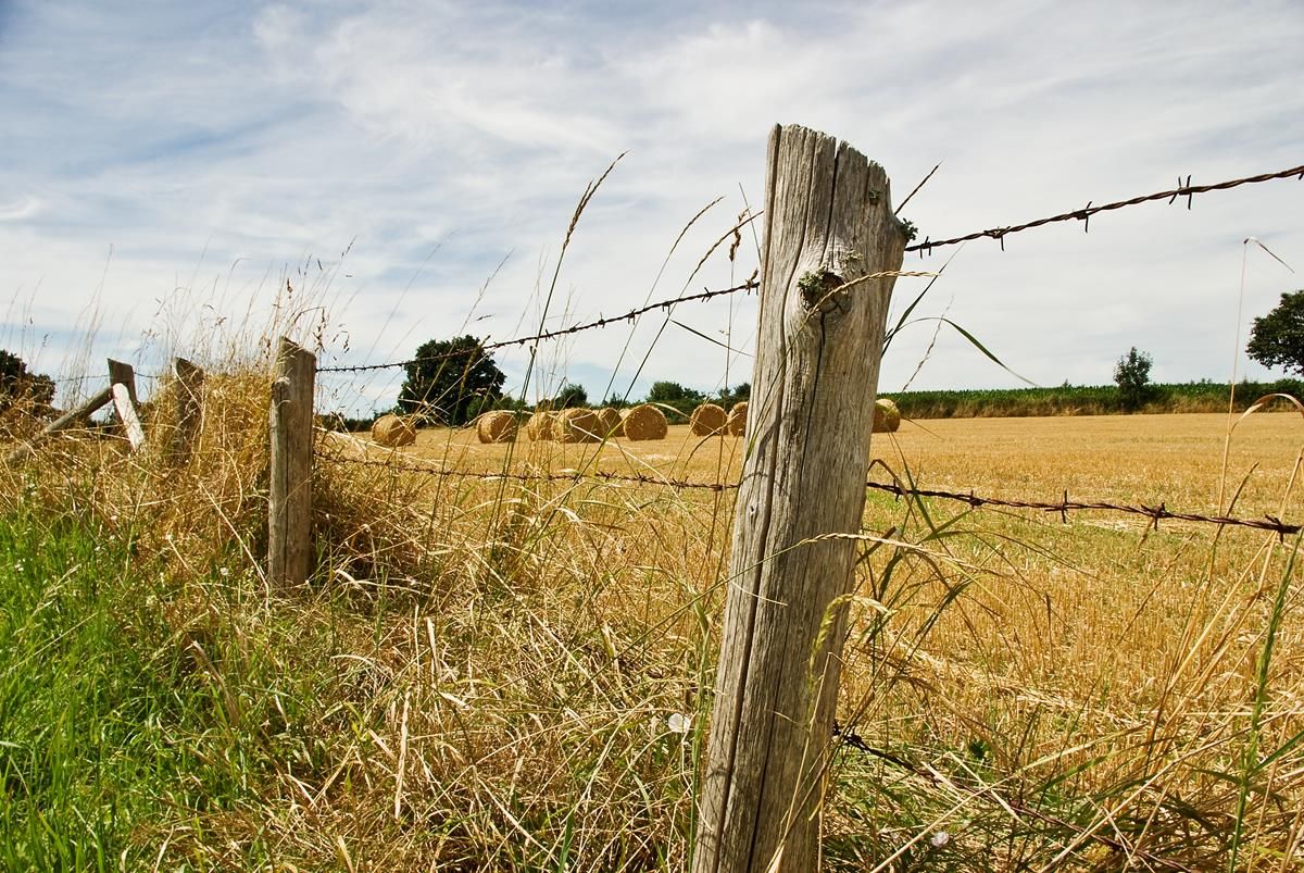 Sherry Fitzgerald: Brexit fears lead to 'quiet' first 4 months in land market