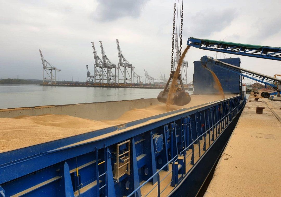 Global agricultural demand projected to grow 15% over next decade