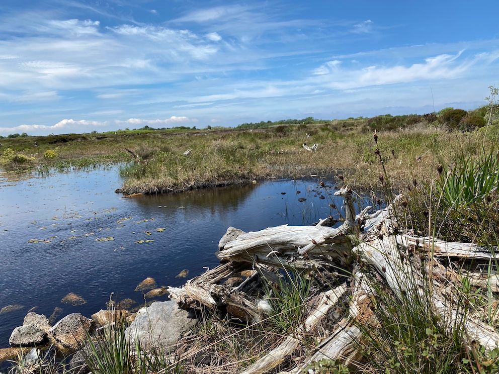 All-Ireland peatlands centre of excellence launched