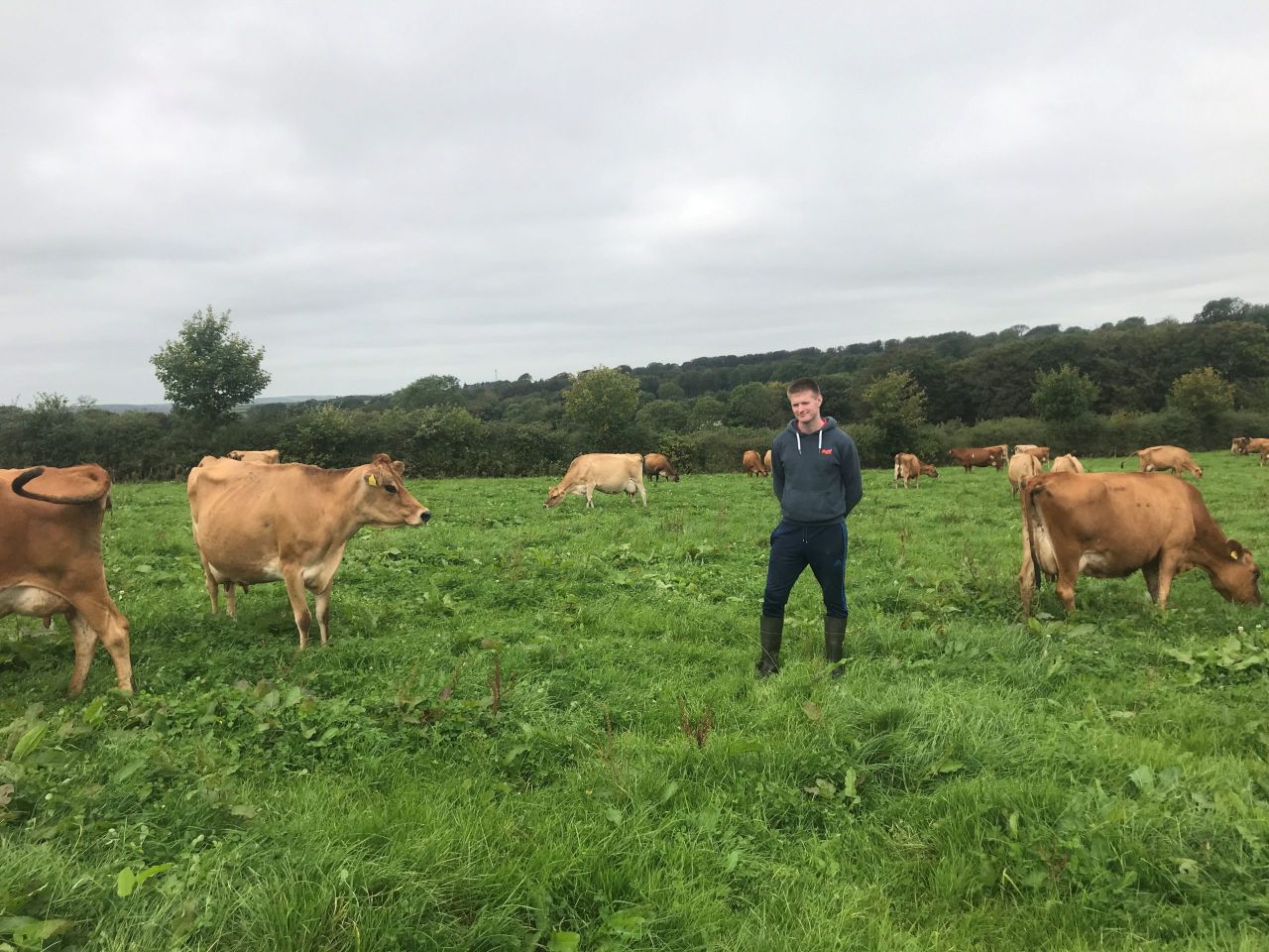 Dairy Focus: 'Organic dairy made more financial sense'