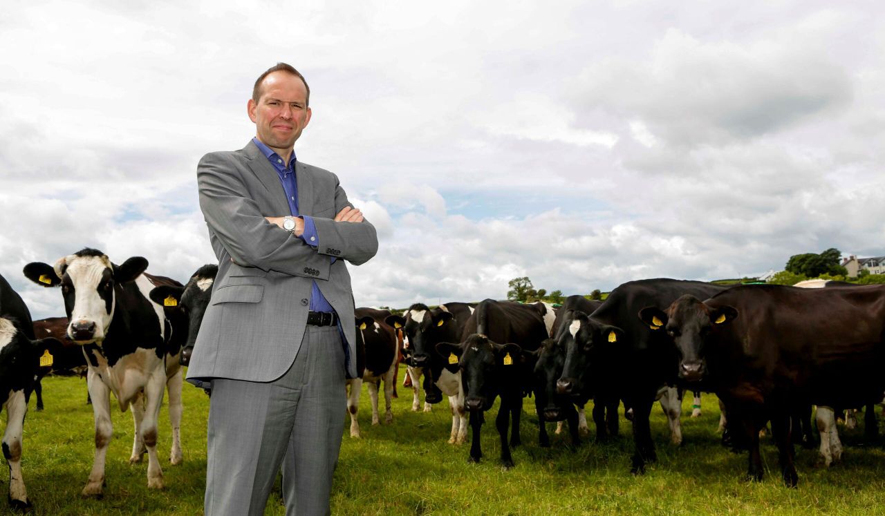 NI milk prices may strengthen later in the year - Whelan