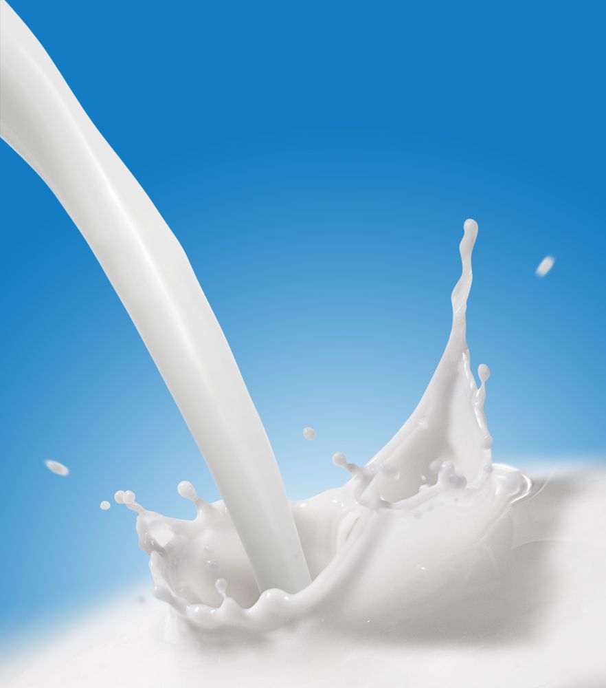 US milk production up 1.7% in February