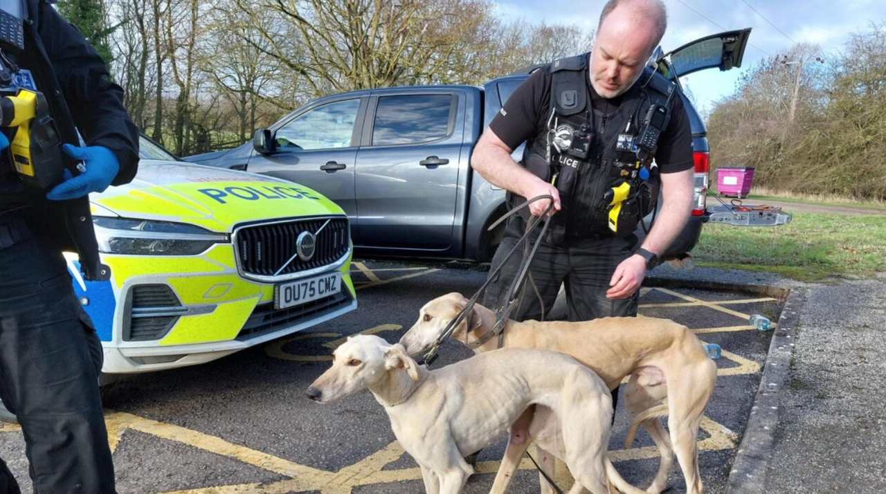 Watch: High speed police chase of hare coursing suspects in UK