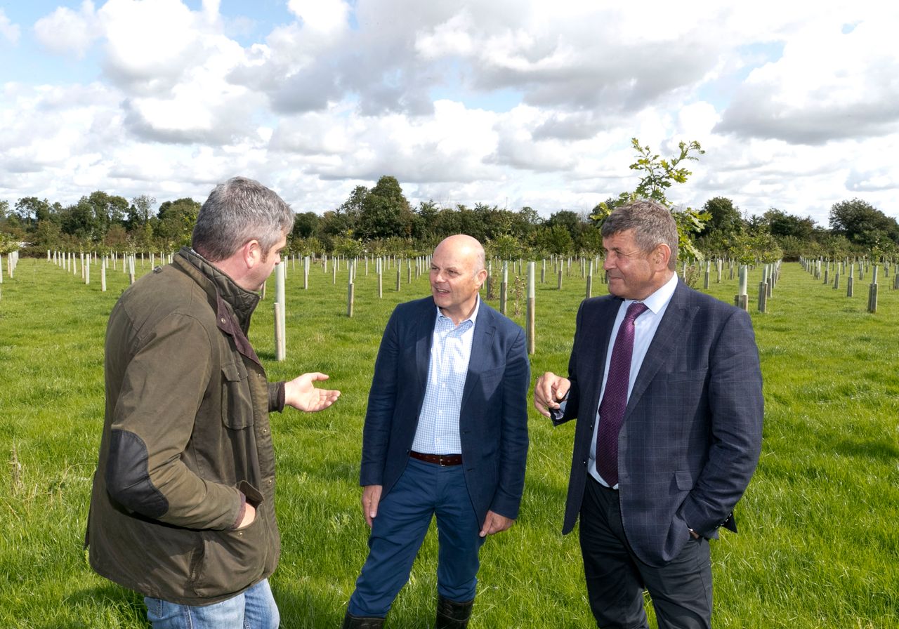 Doyle highlights role of agroforestry on Irish farms