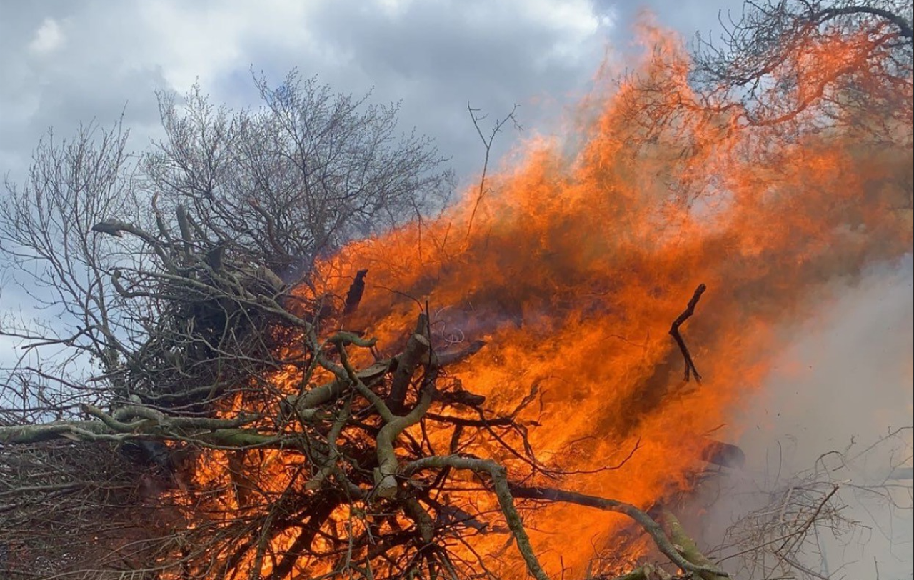 Final exemption for burning green waste begins this week