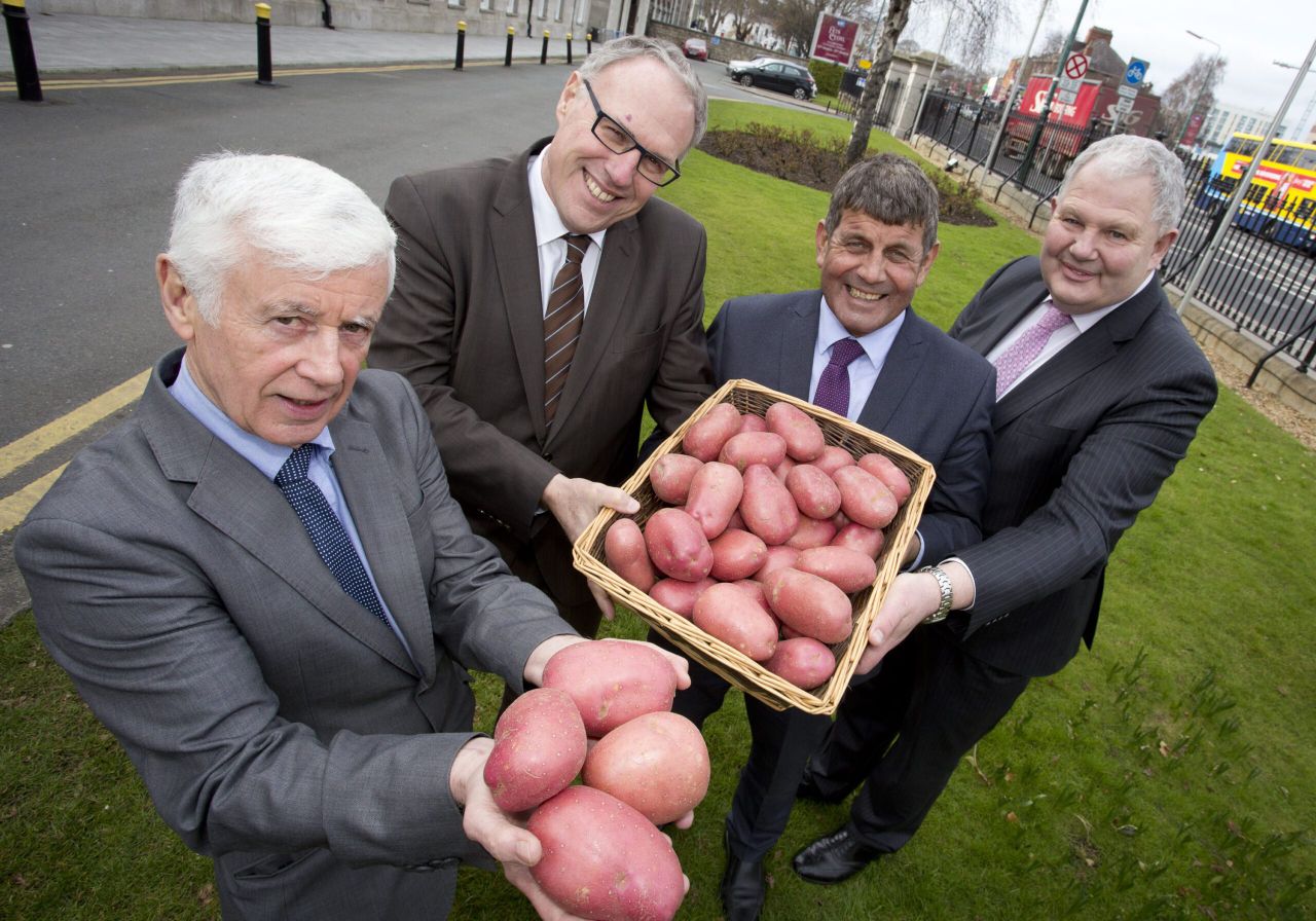 Ireland selected to host 2021 World Potato Congress