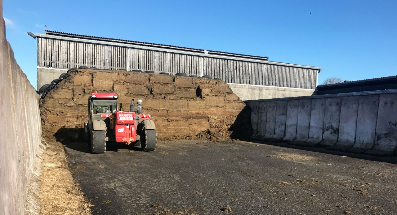 Why is it important to provide fresh feed and avoid acidosis over the winter period?