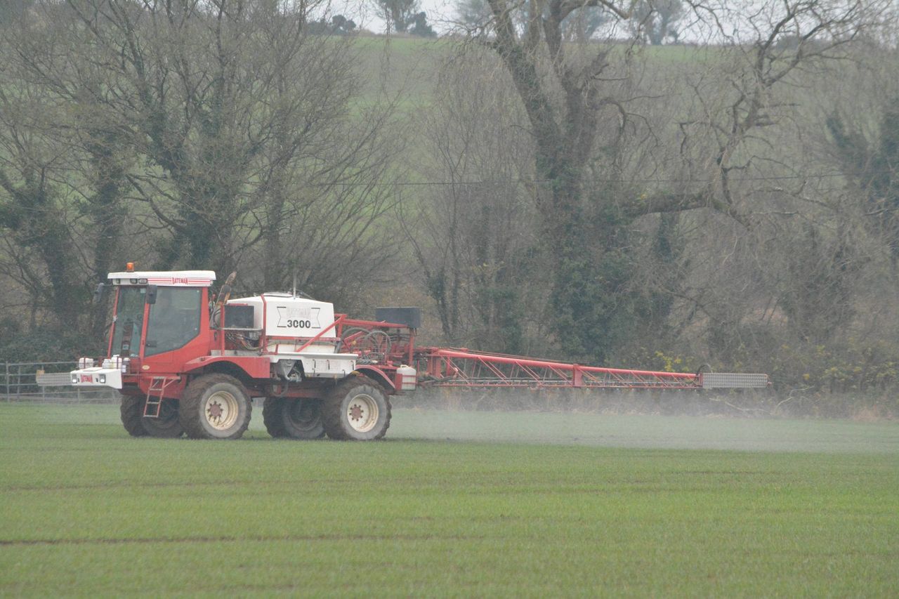 Tillage management: Aphid numbers up but not dramatically