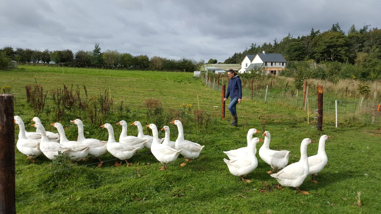 Slane estate 'rocks on' with farm diversification projects
