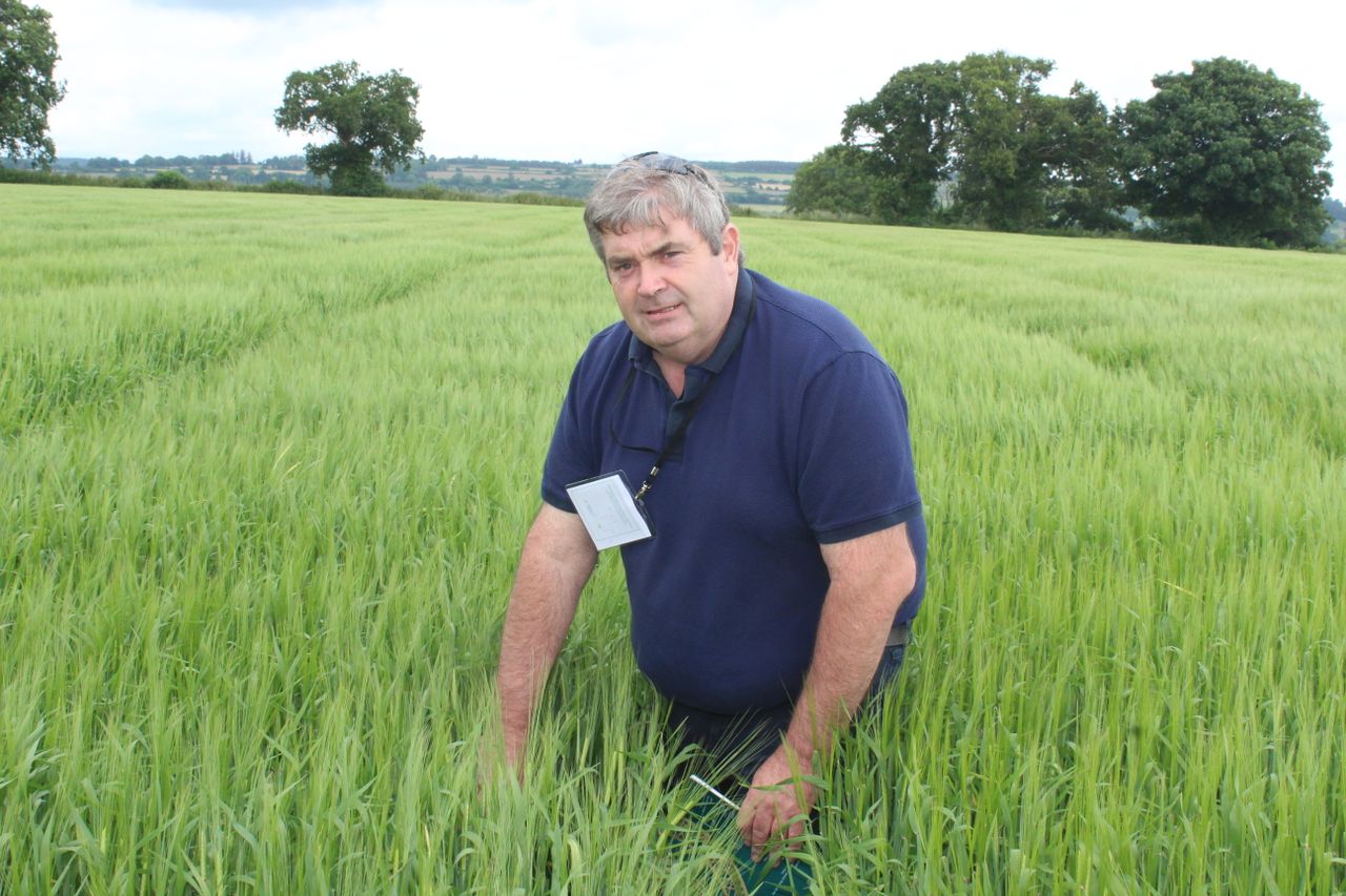 Farmers 'will be relieved' to see drop of cultivation rule - McEvoy