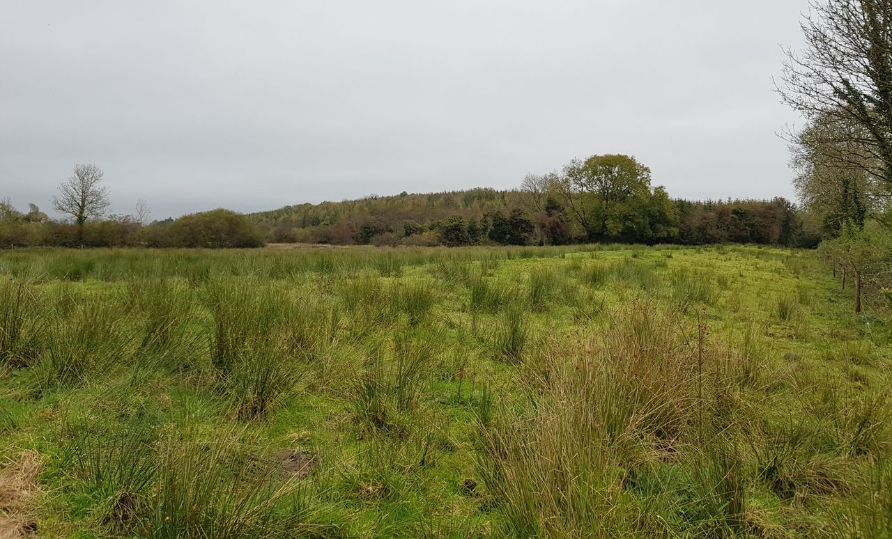35ac residential farmland fully equipped for stock holding