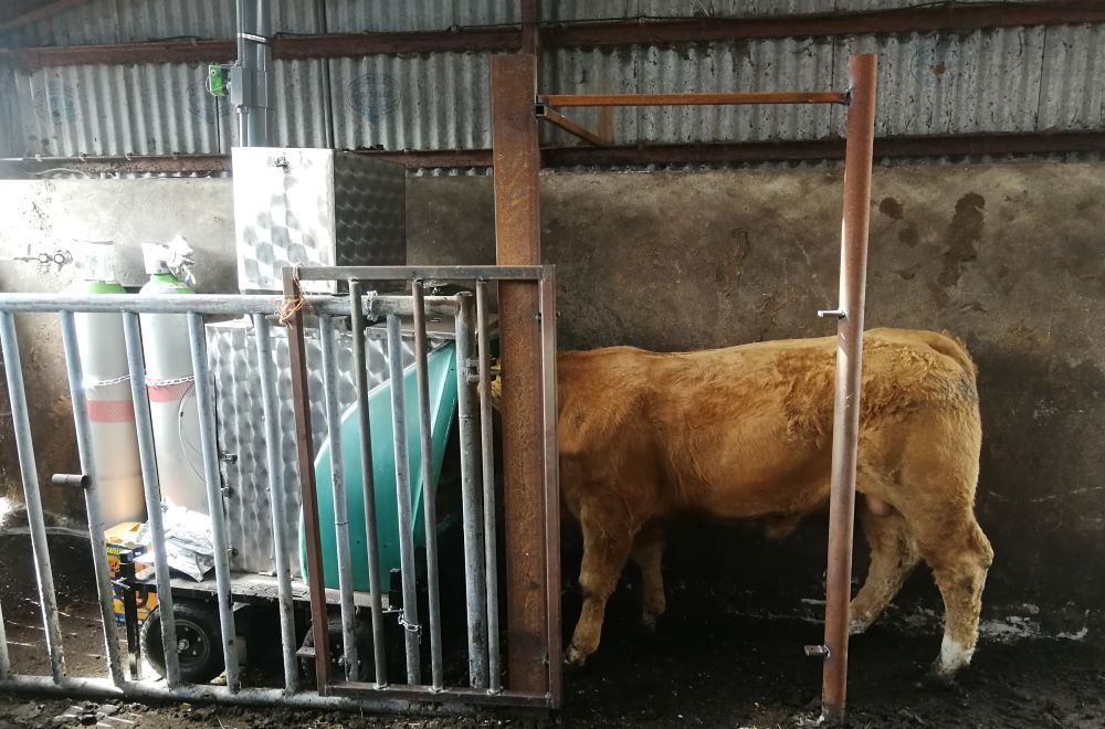 Methane-measurement study reveals positive findings for the beef sector
