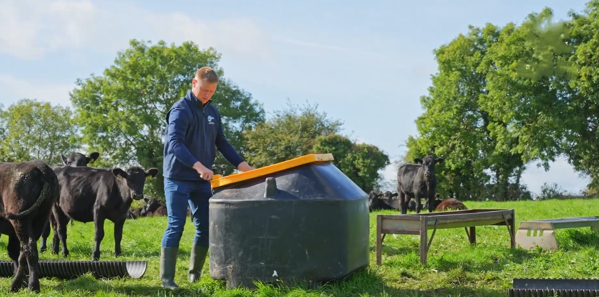 Video: How this young farmer bought 60 Angus calves with no up-front payment