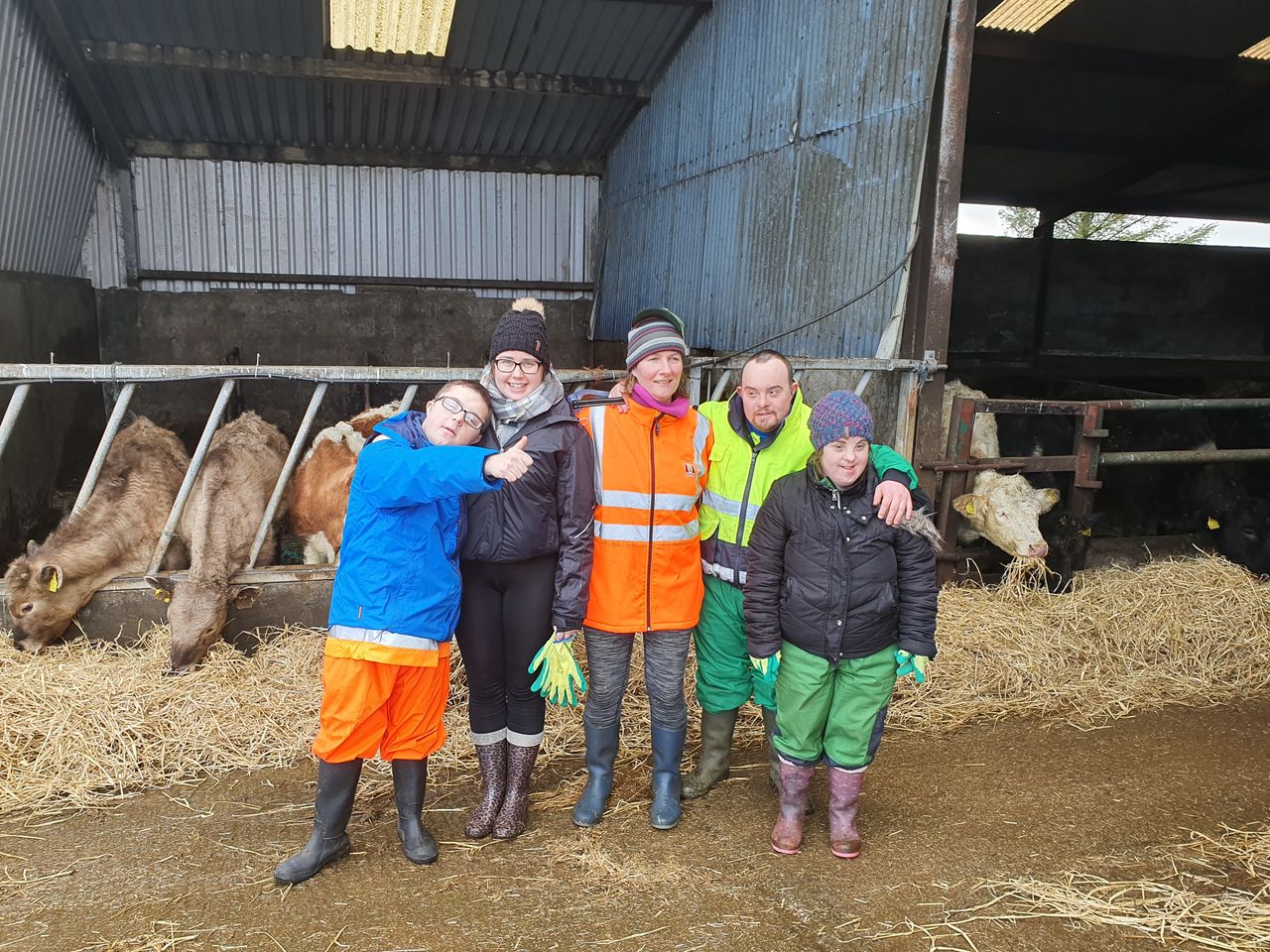 Healthy Ireland involvement in social farming highlighted