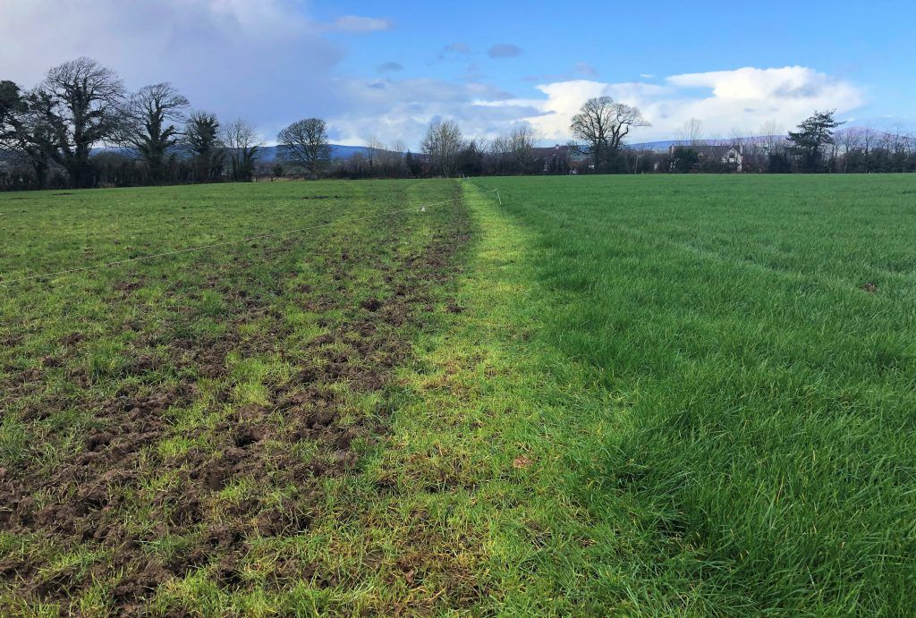 Bad weather hinders grazing on farms across the country