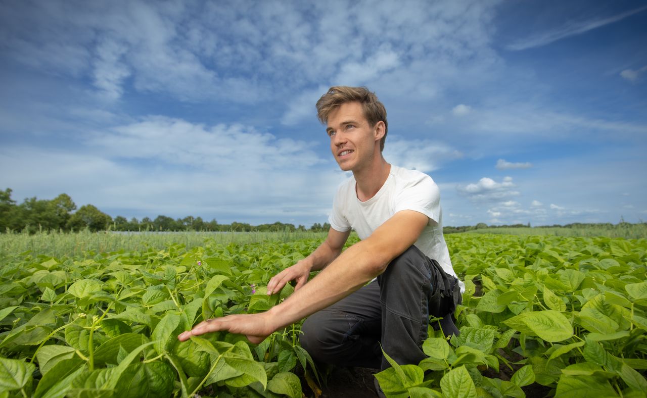 Dutch farmer growing crops and 30 types of vegetables on 7ha