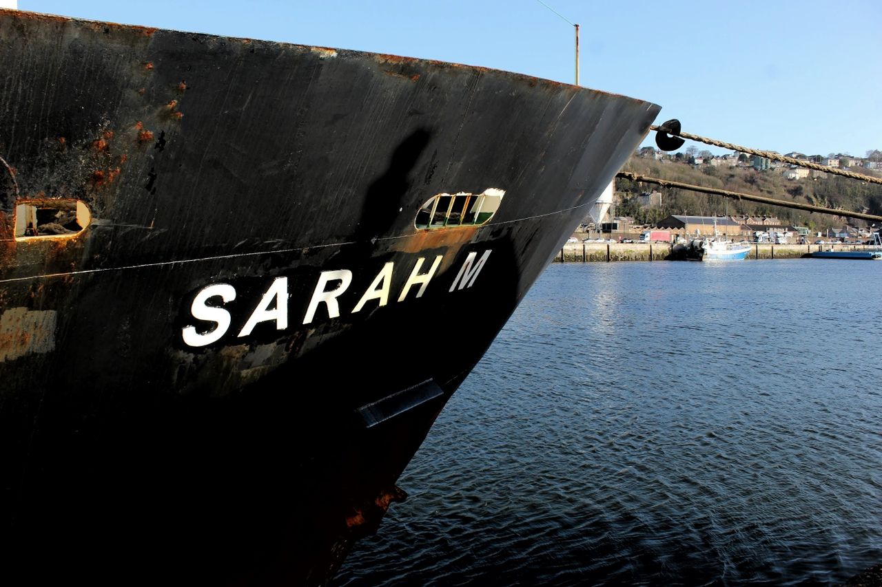 Waterford-based export firm sourcing bulls for Libya