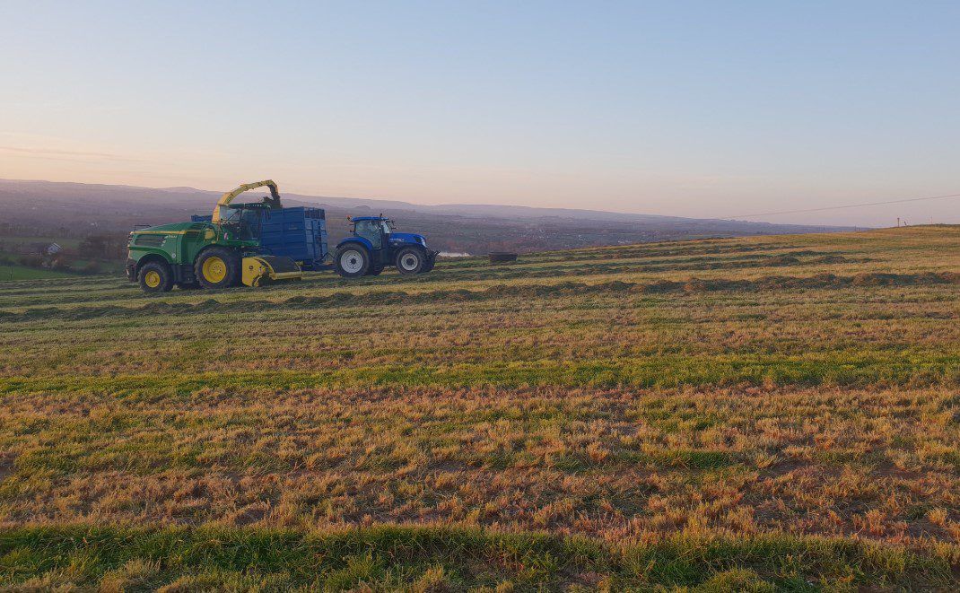 Pics: Sunny scenes see 'Silage 2019' set off
