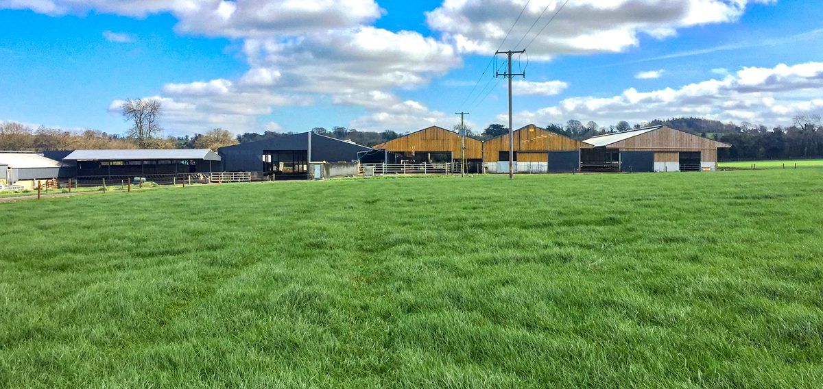 Dairy focus: 166% increase in cow numbers in Co. Meath