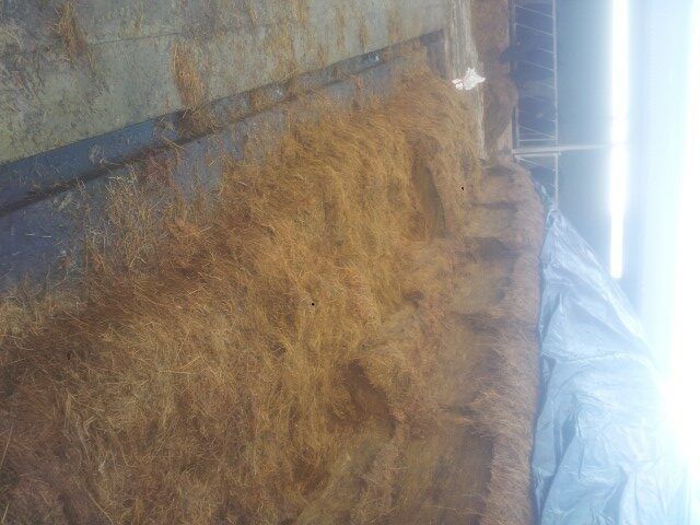 Silage pits open across the country