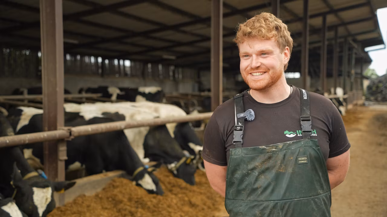 Watch: How this Meath farmer is boosting profits with Wagyu calves
