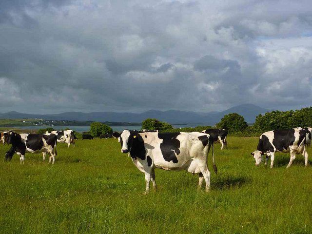'CAP budget needs to be safeguarded despite new challenges'