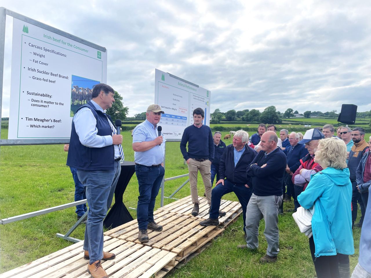 Factory insight on beef price and heavy carcass markets