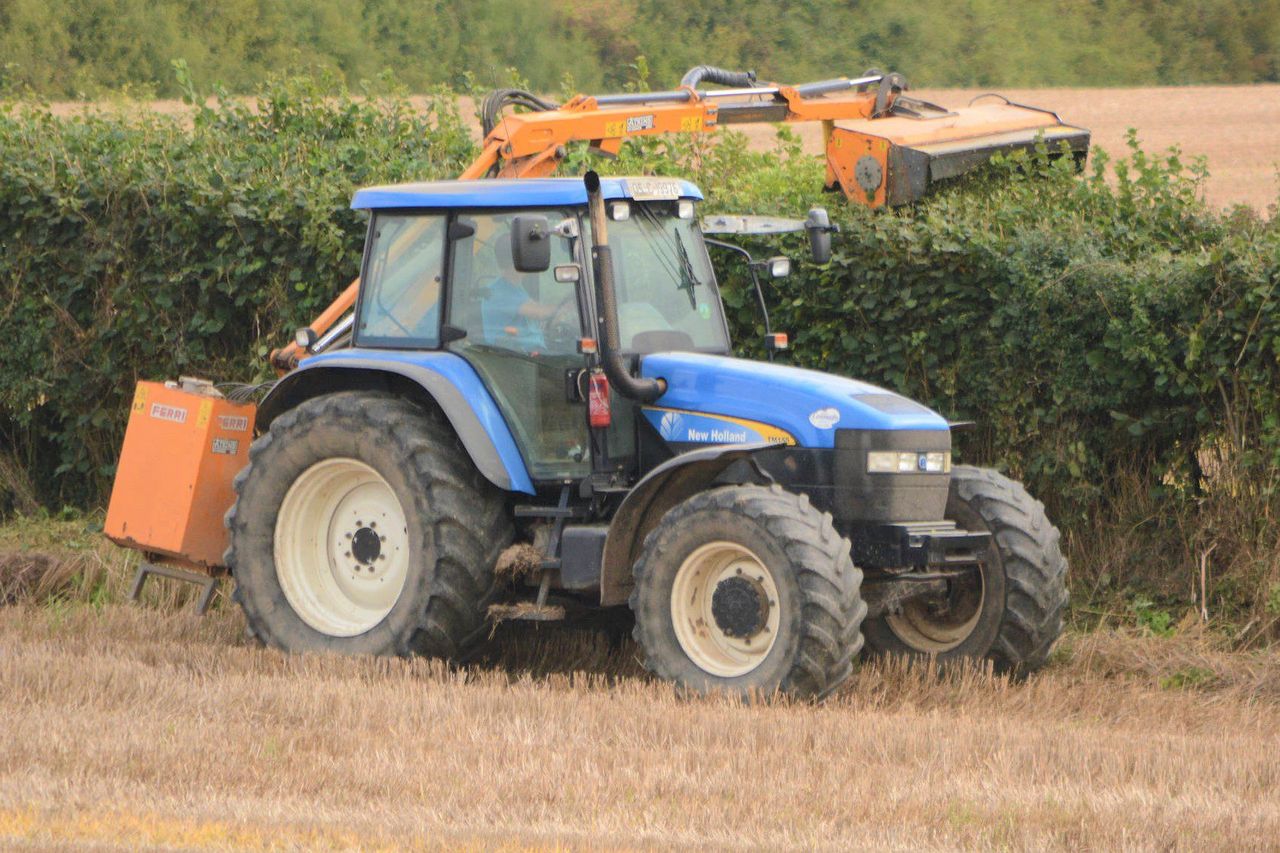 Window for hedge-cutting season opens from today