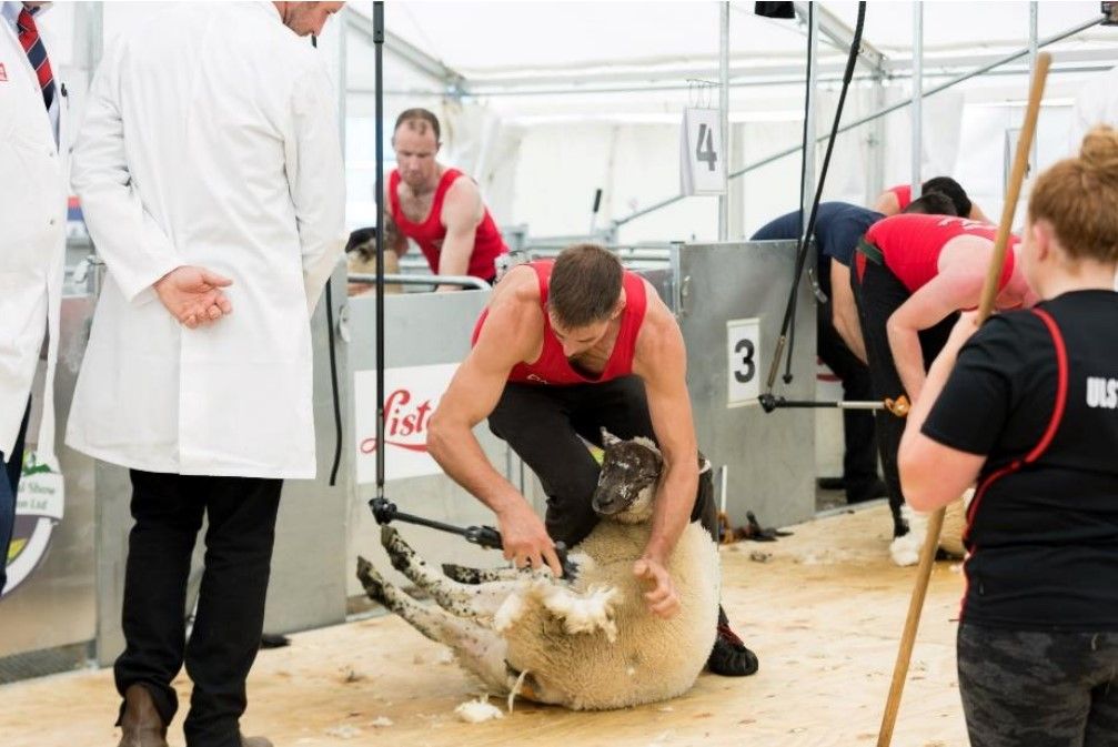 All-Ireland shearing among highlights of Clonmany show