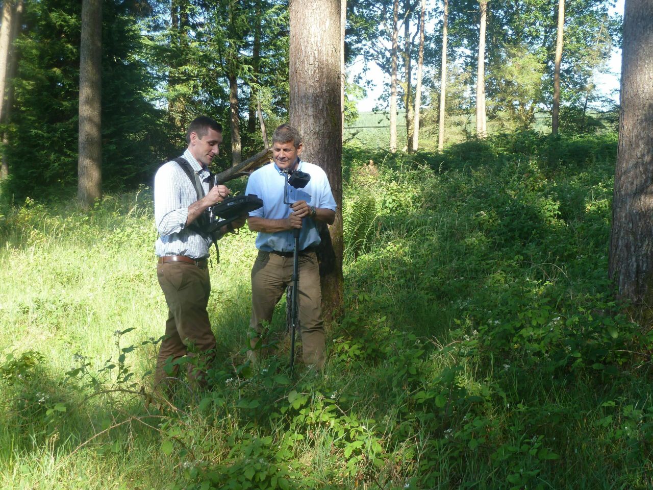National forest estate reaches 11% of the total land area