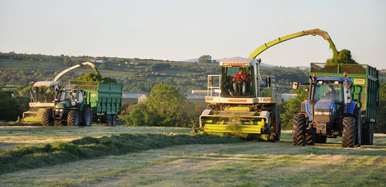FCI concerned over diesel price-hike speculation