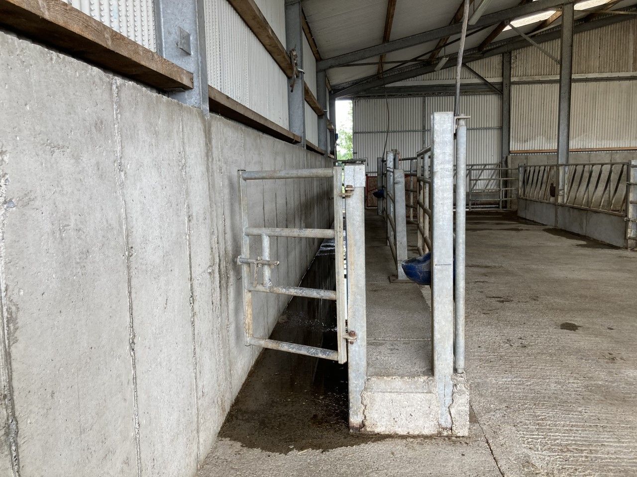 Call for bluetongue vaccination to be added to livestock schemes