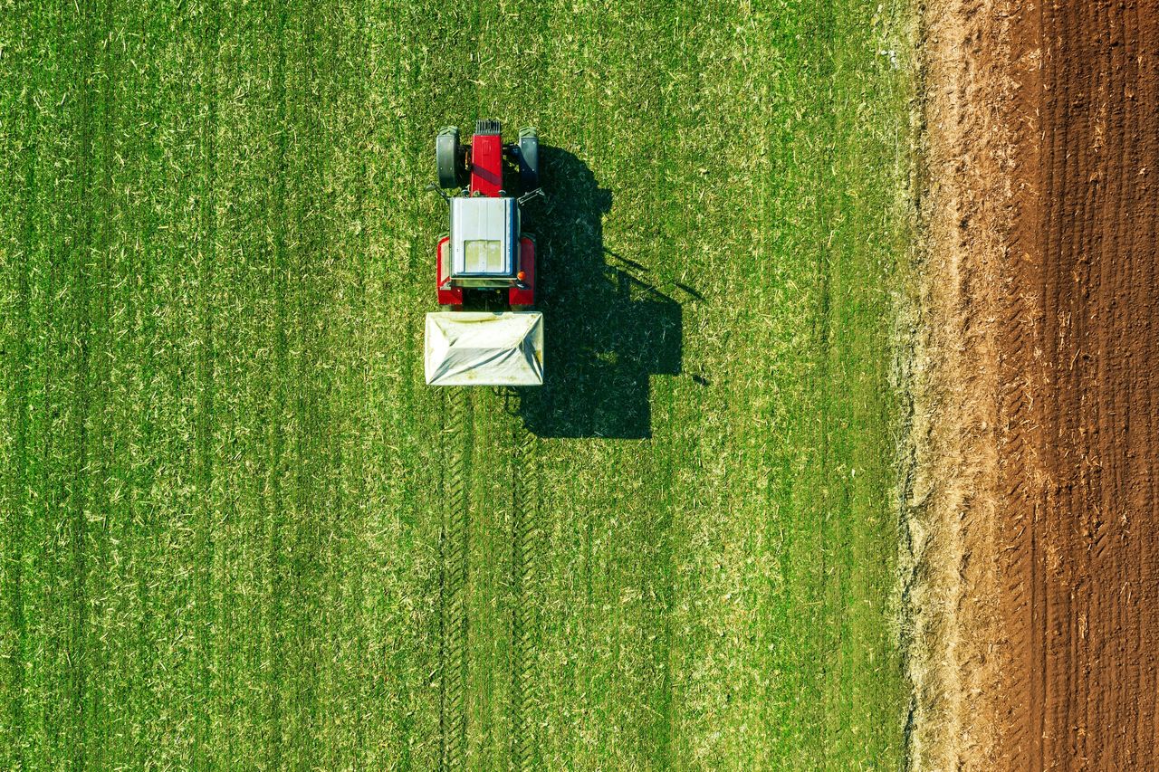 FAO: Farmers will have decisions to make amid conflict