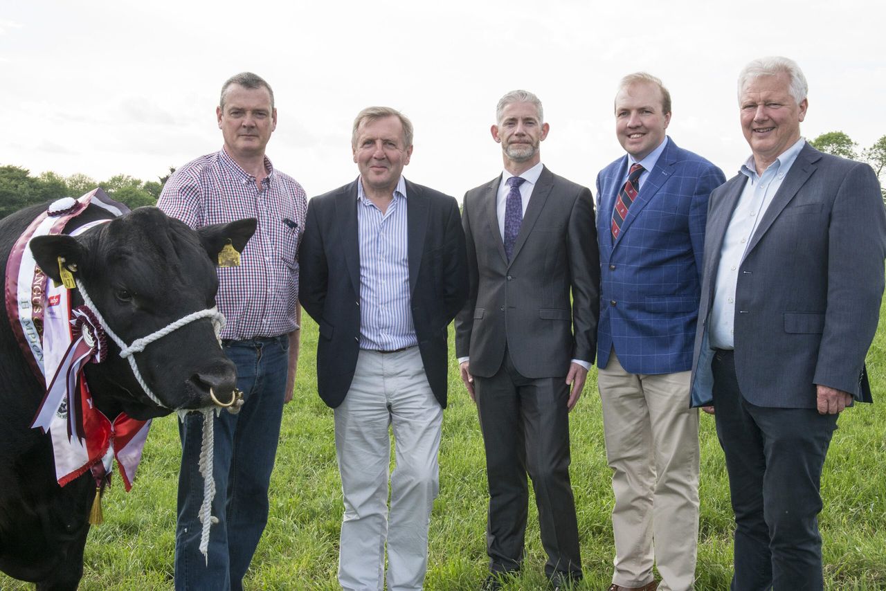 Irish Angus championships launch with 'beefy' €23,500 prize fund