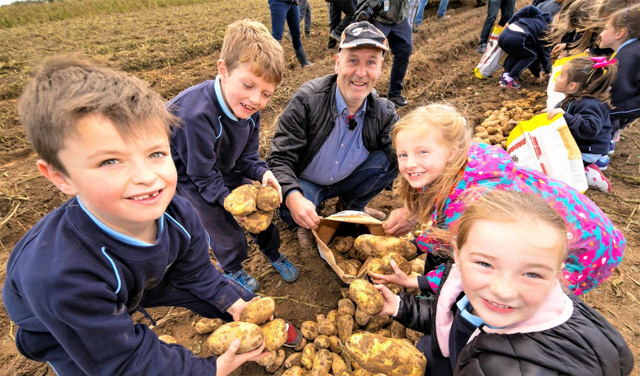 National Potato Day: Consumers urged to choose Irish potatoes