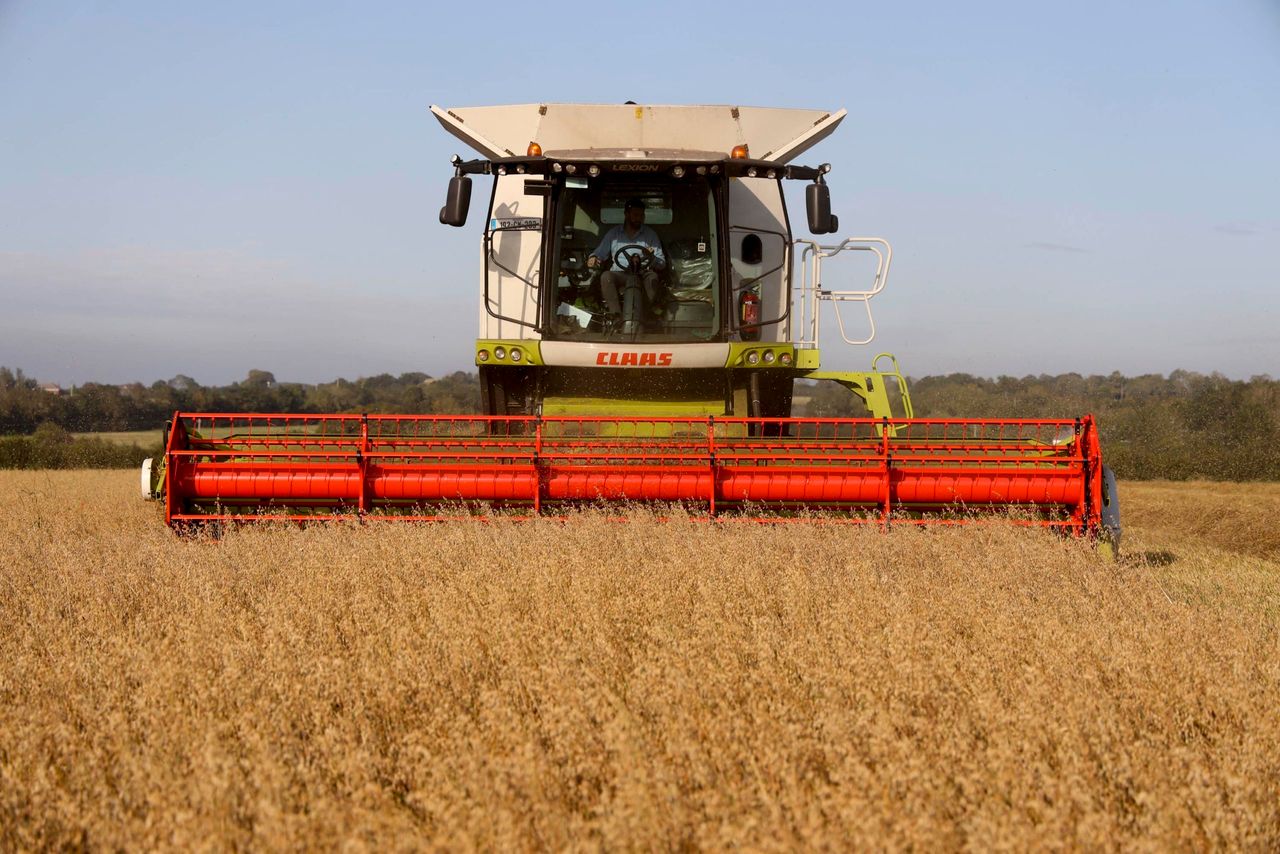 Glanbia announces grain prices for Harvest 2021