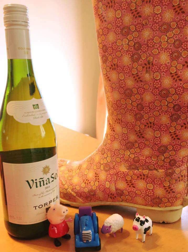 'Wine, Women, Wellies' event set to awaken the west