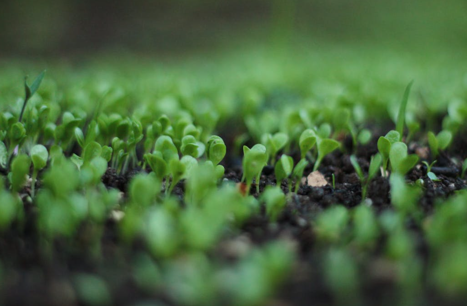 €1.7m for soil and agri-digital research projects