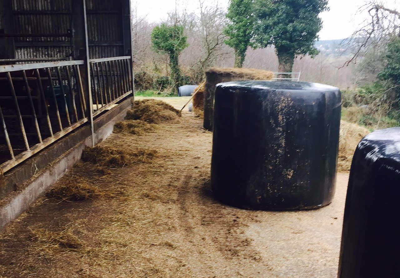 ICMSA “absolutely confident” of new procedure for Bord Bia QA scheme
