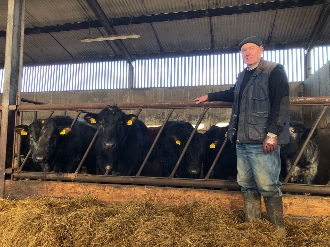Beef Focus: Sticking with traditional suckler breeding in Co. Cavan