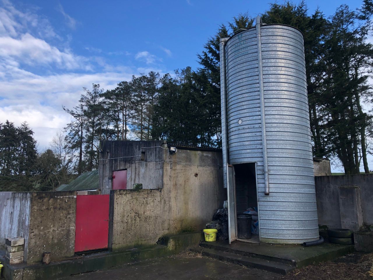 Feed costs set to jump as green diesel prices soar