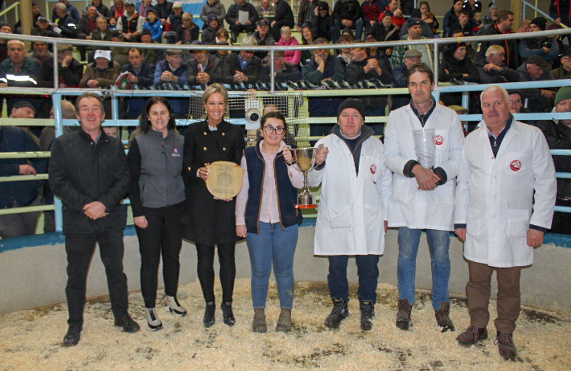 Bullocks hit €3,520 at Kanturk Mart fatstock show and sale