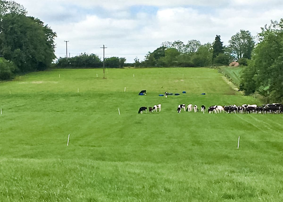 GrowthWatch: Green drought spreads nationwide
