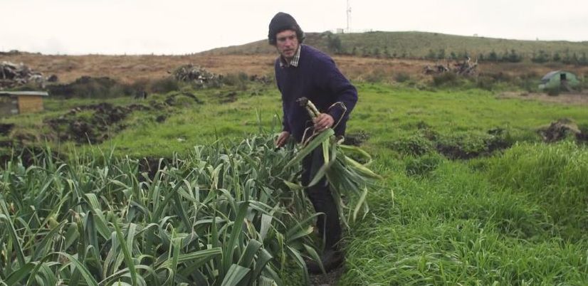 Video: From surfing around the world to organic farming in the west