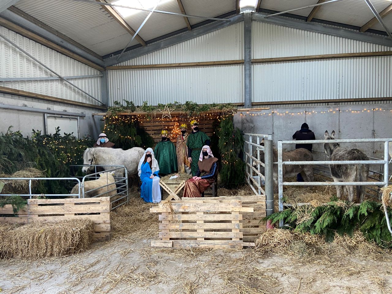 Students organise live crib for charity on Clare farm