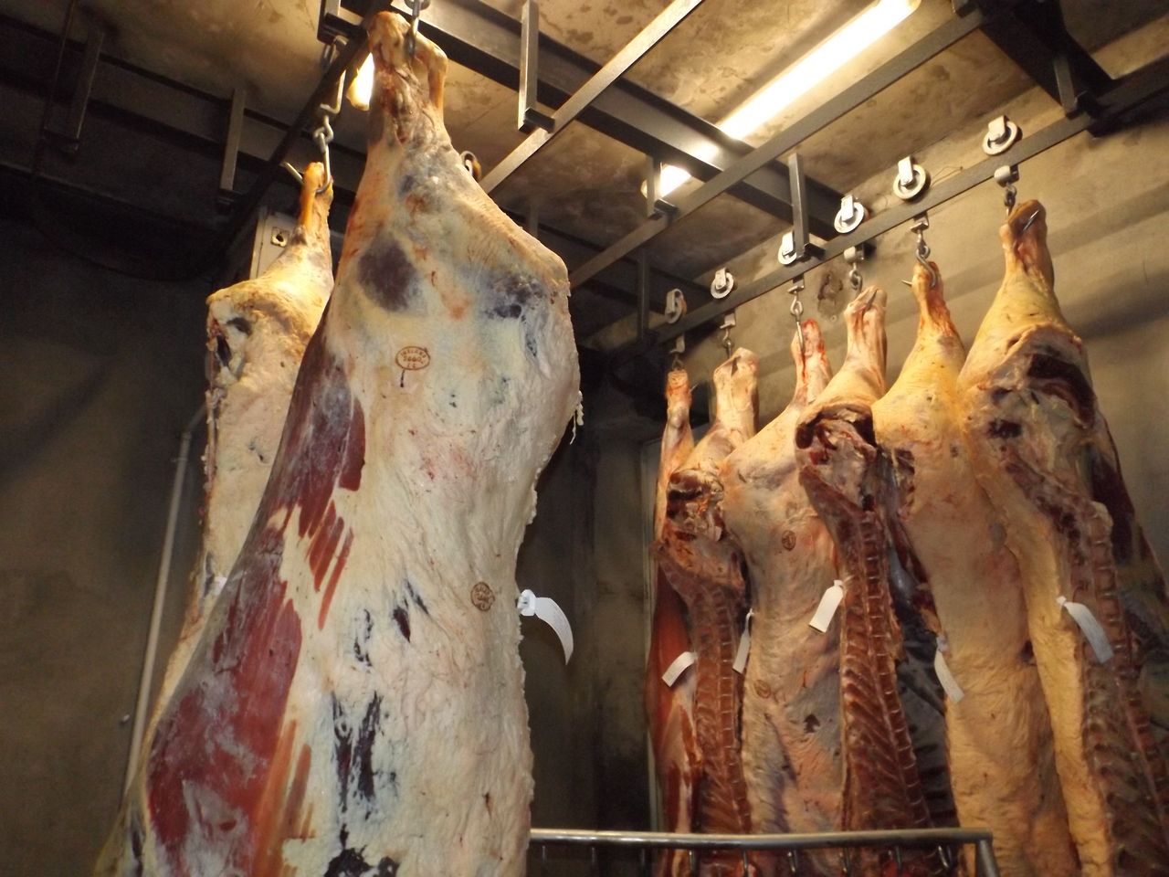 Gallery: Traditional Irish abattoir to go under the hammer in Co. Offaly