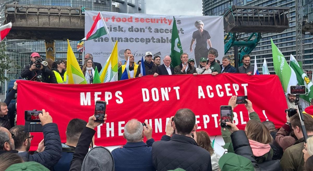 Watch: Farmers hold 'flash action' in Strasbourg over future of CAP