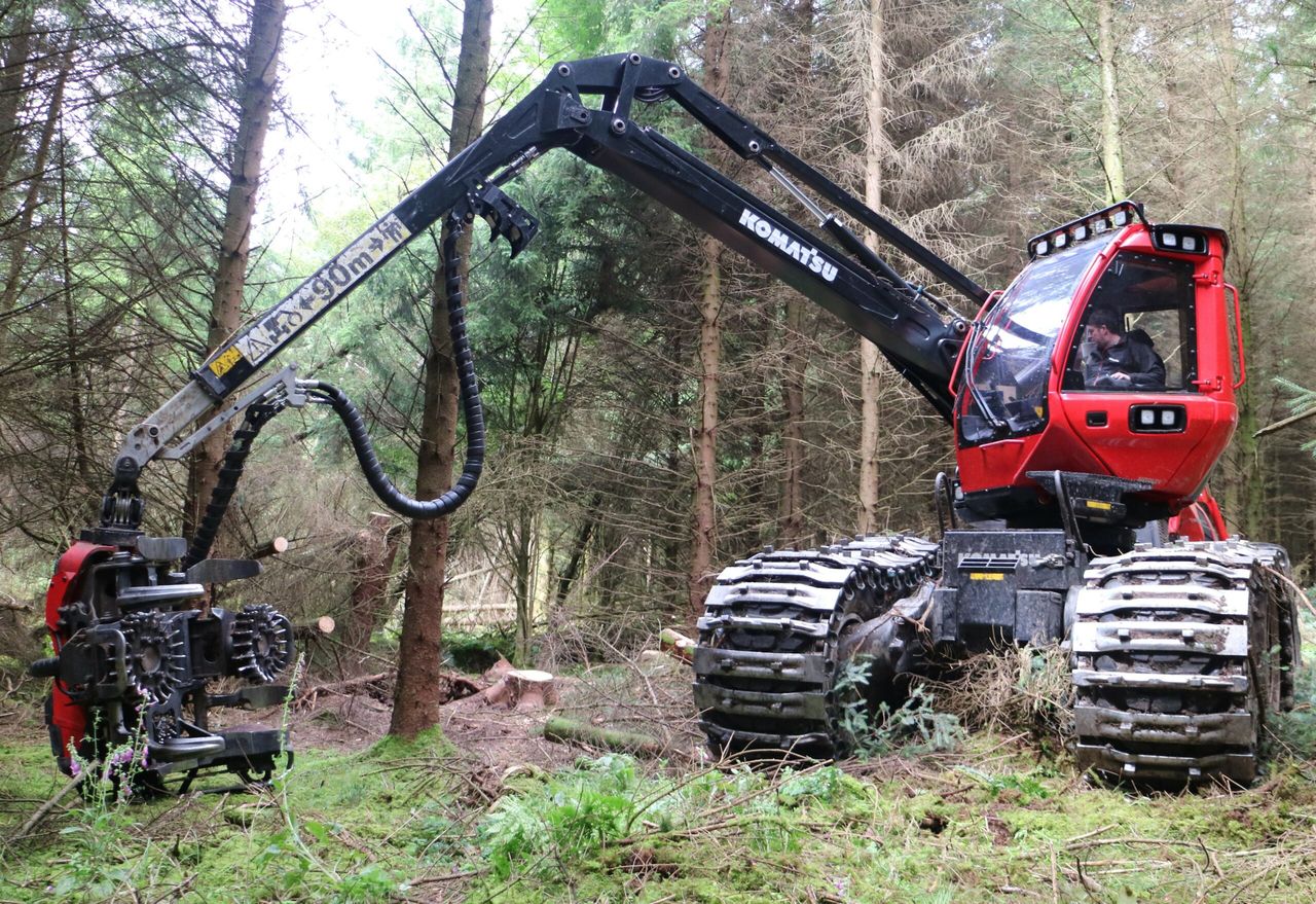 Hackett: 4,700 forest licence applications currently in system
