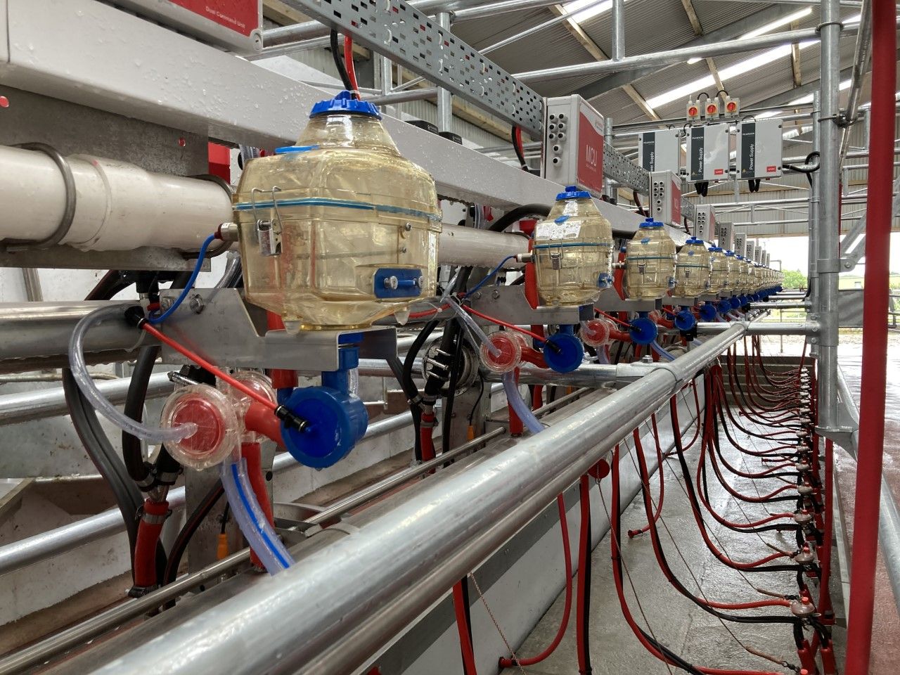 NI milk price round-up: Lakeland swaps unconditional bonus for base price rise
