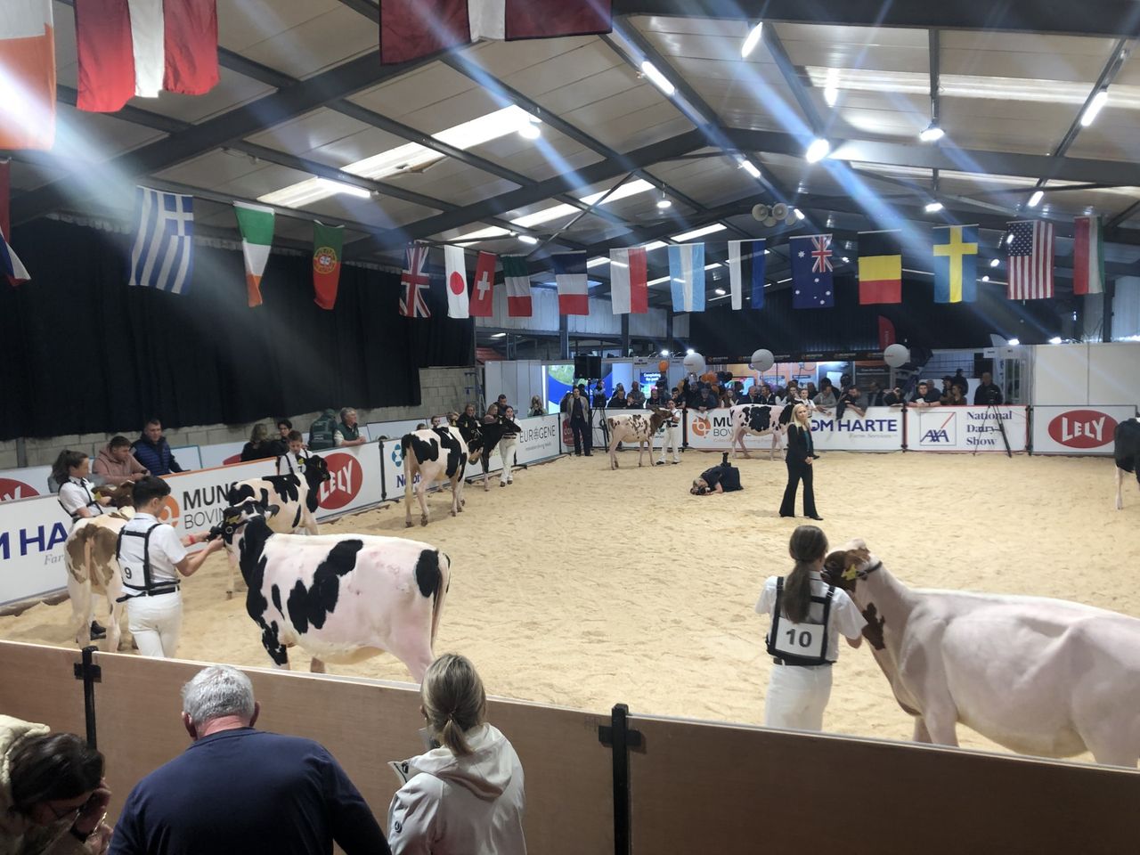 AXA National Dairy Show gets underway in Millstreet